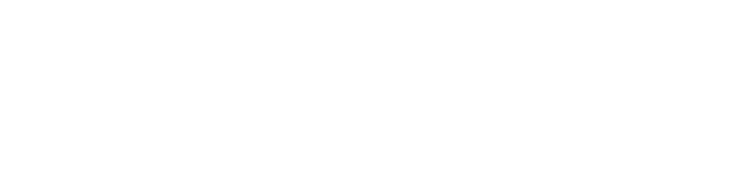 TransPerfect Legal White Logo
